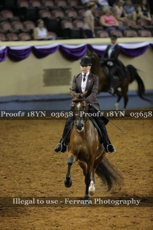 Proof 18YN_03658