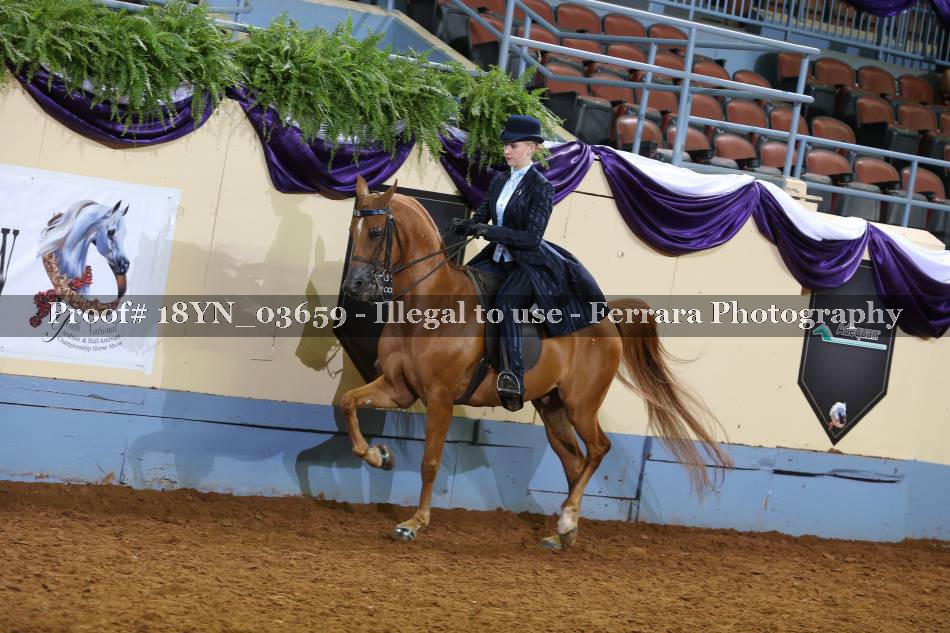 Proof 18YN_03659
