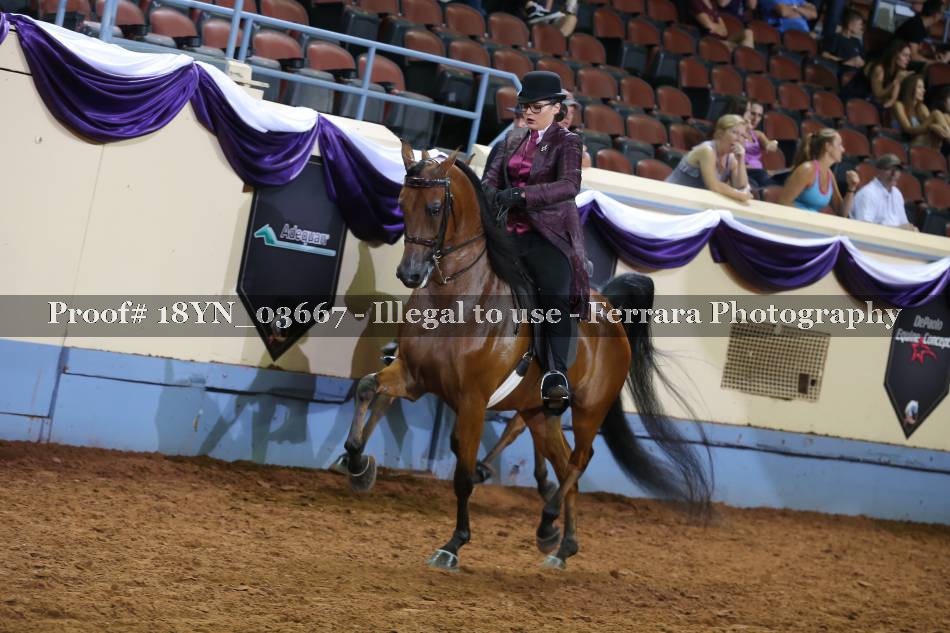 Proof 18YN_03667