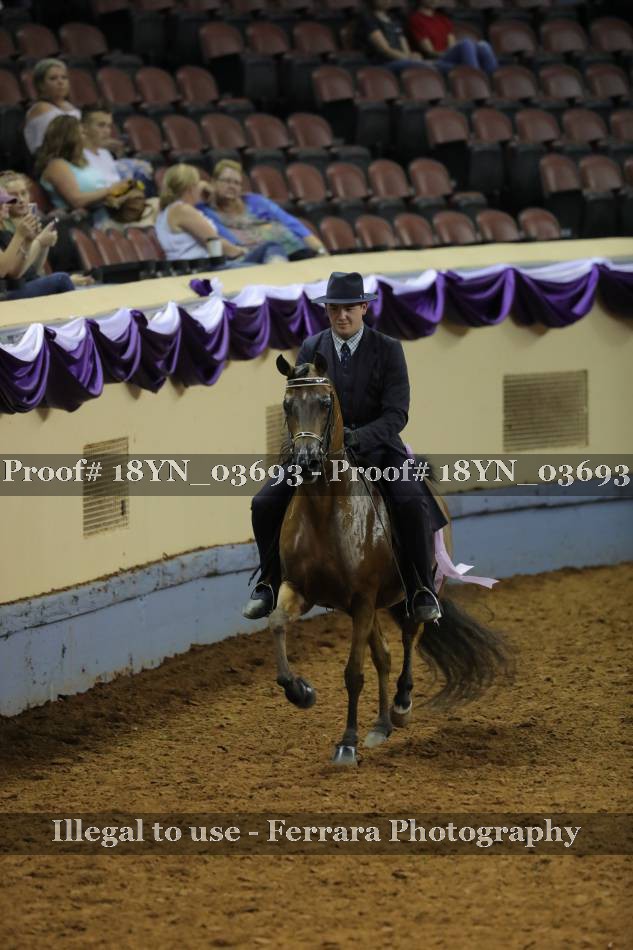 Proof 18YN_03693