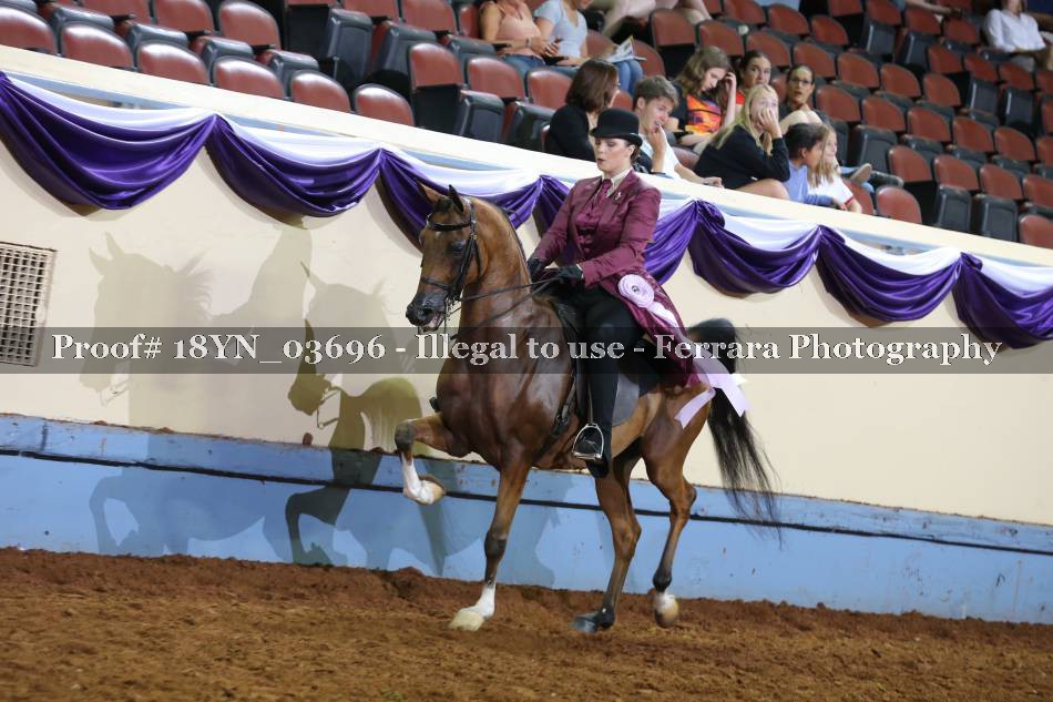 Proof 18YN_03696