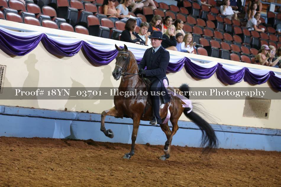 Proof 18YN_03701