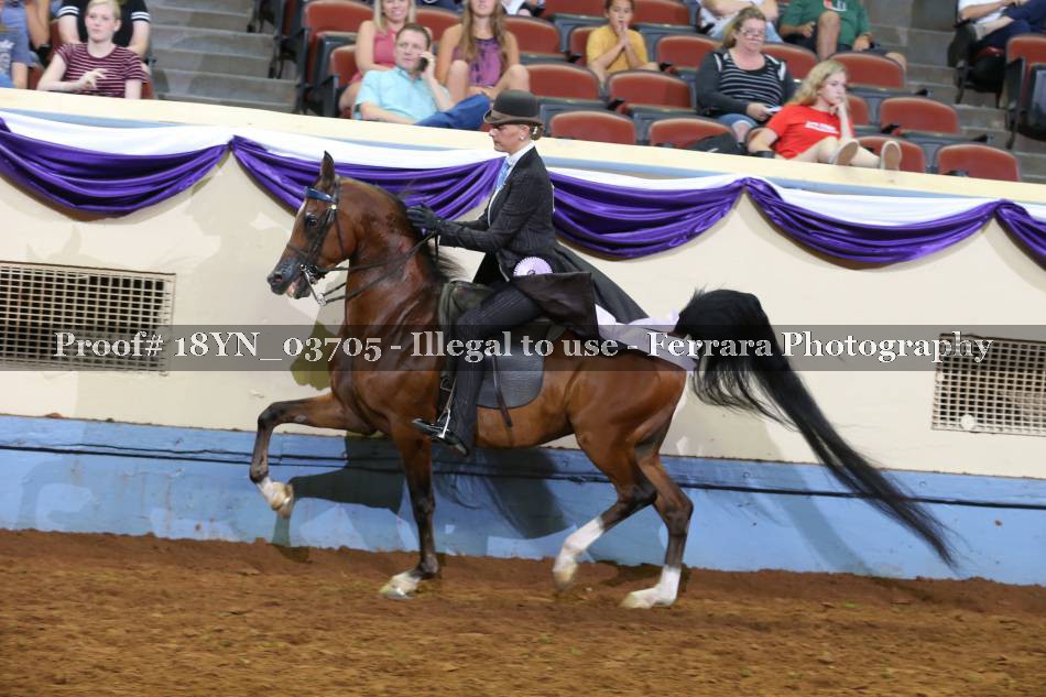 Proof 18YN_03705