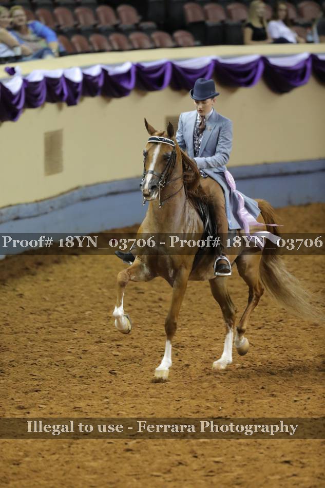 Proof 18YN_03706