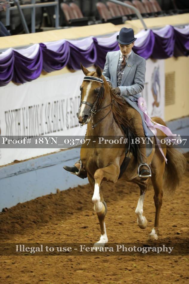 Proof 18YN_03707