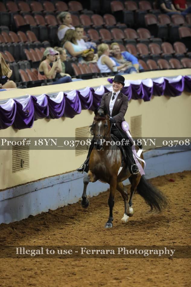 Proof 18YN_03708