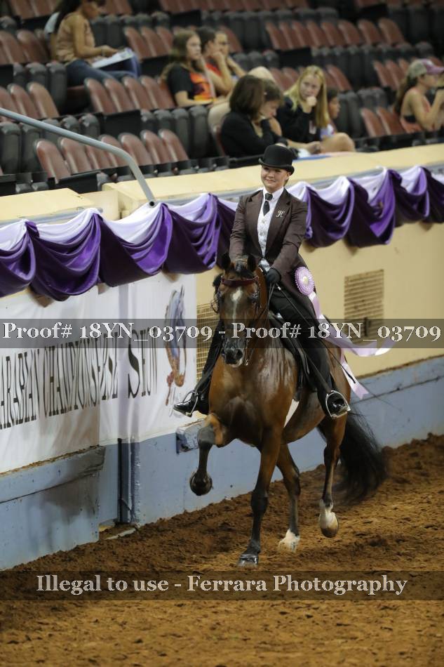 Proof 18YN_03709