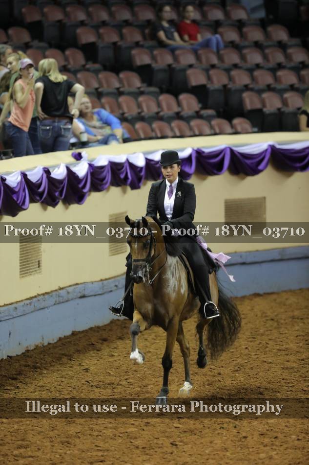 Proof 18YN_03710