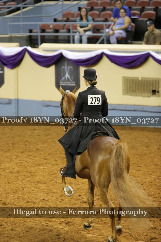 Proof 18YN_03727
