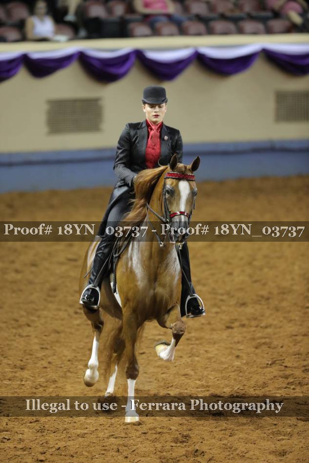 Proof 18YN_03737