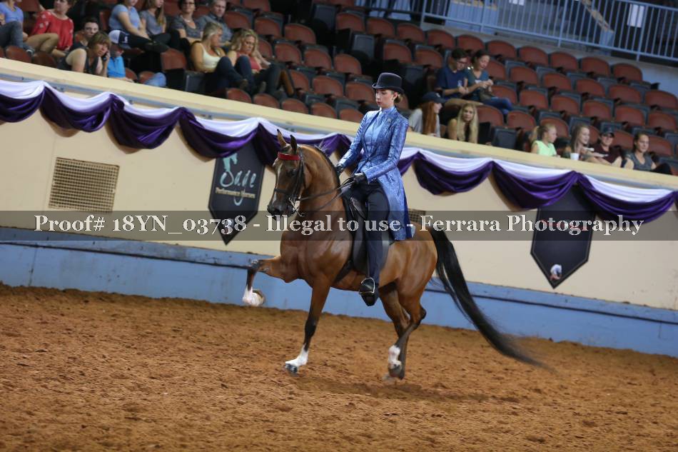 Proof 18YN_03738