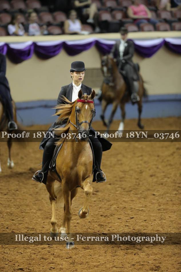 Proof 18YN_03746