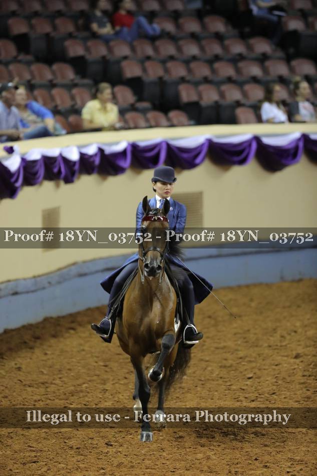 Proof 18YN_03752