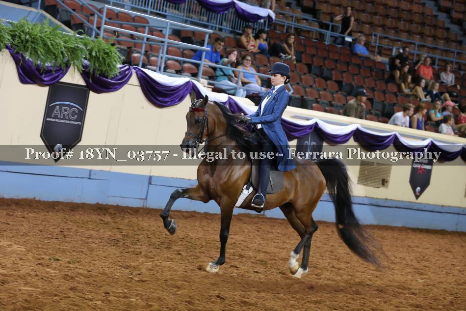 Proof 18YN_03757