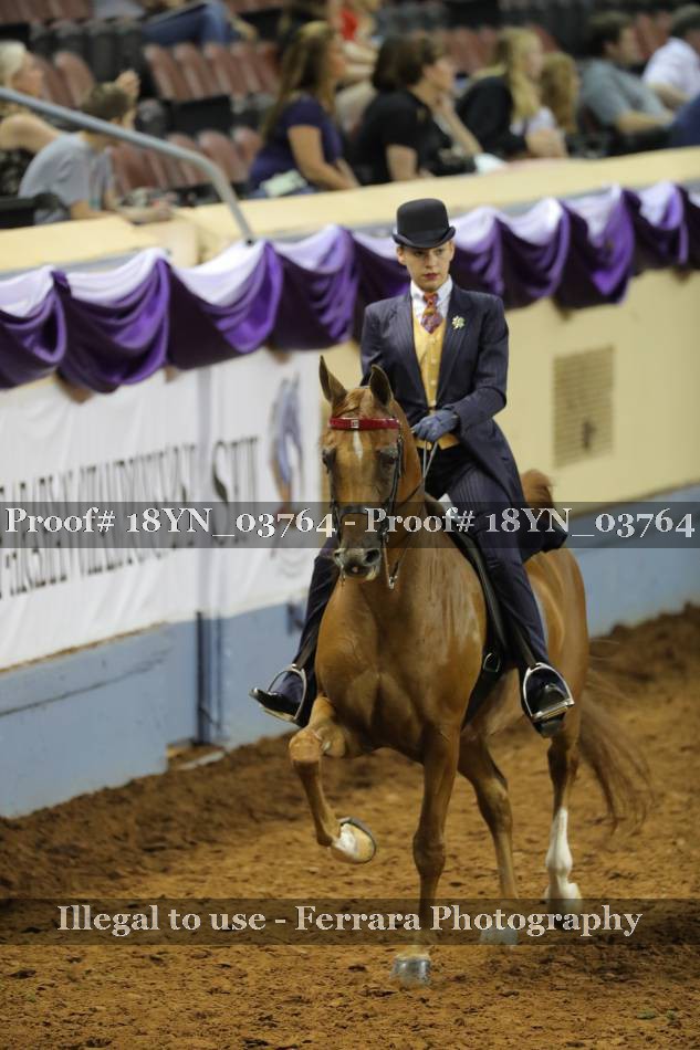 Proof 18YN_03764