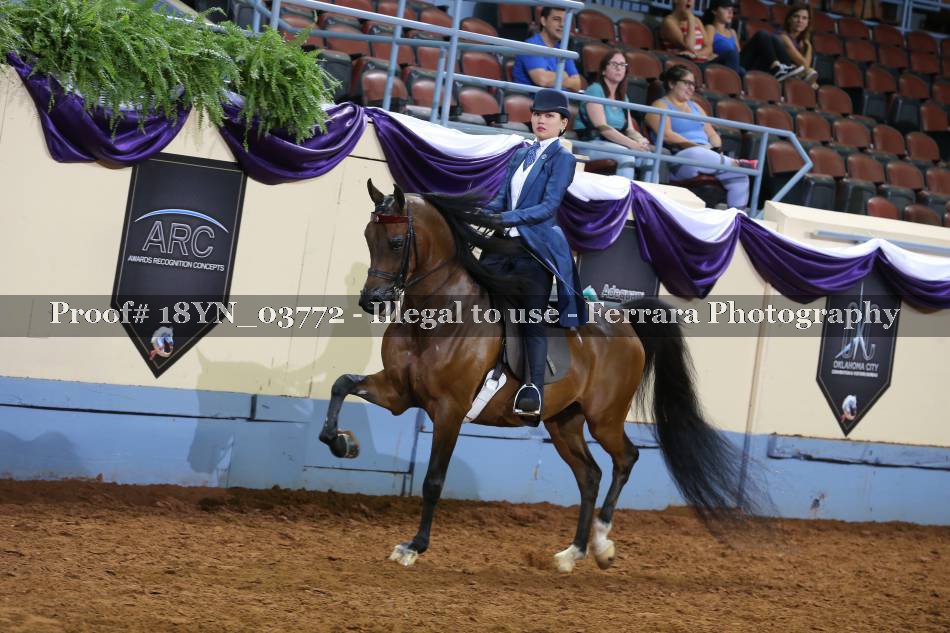Proof 18YN_03772