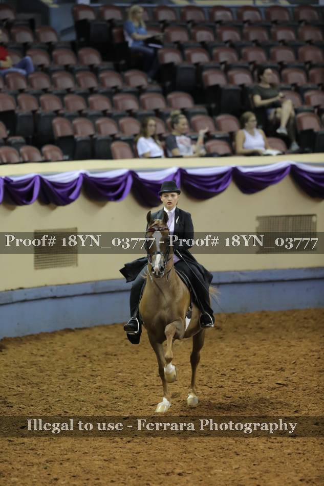 Proof 18YN_03777