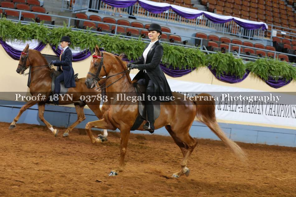 Proof 18YN_03783
