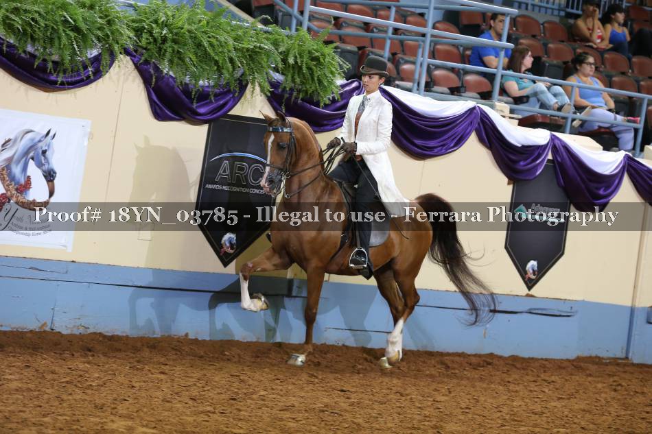 Proof 18YN_03785