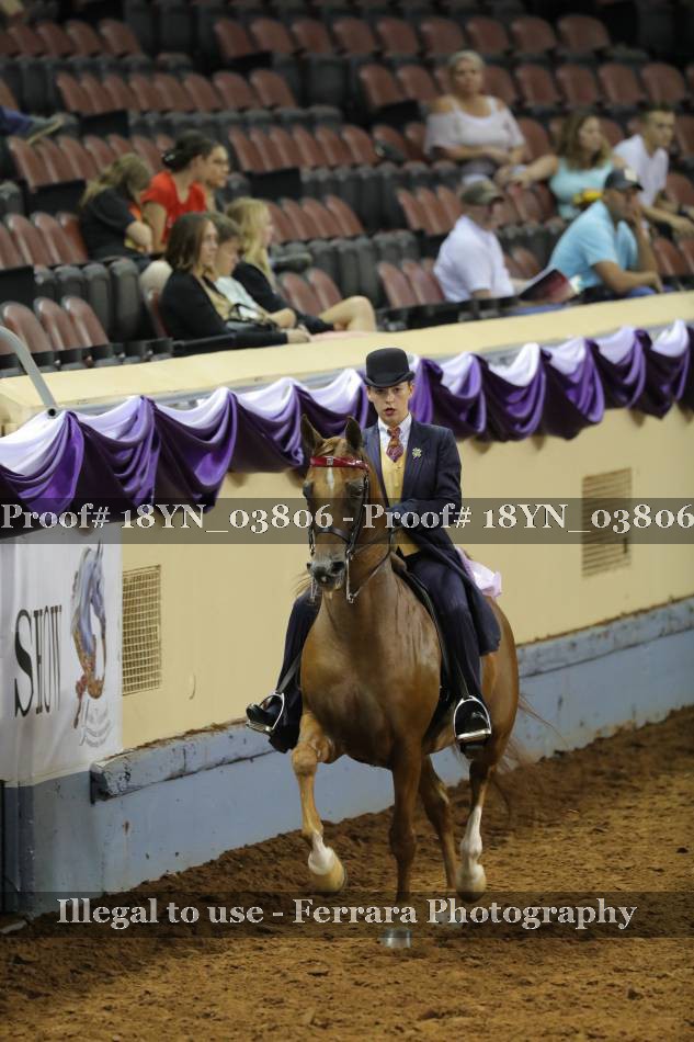 Proof 18YN_03806