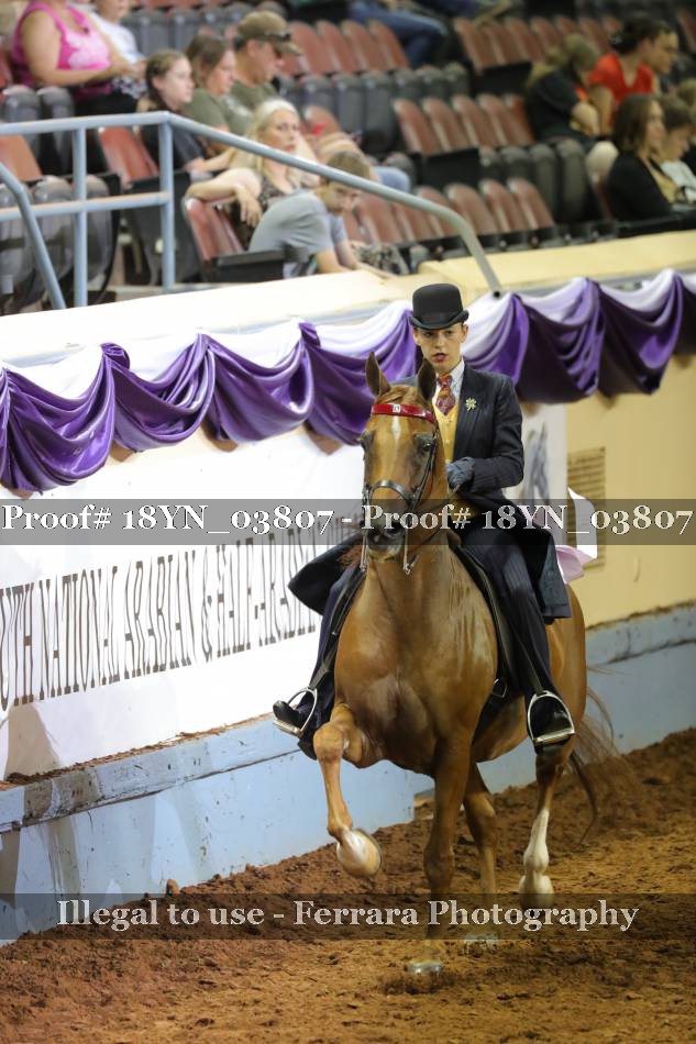 Proof 18YN_03807