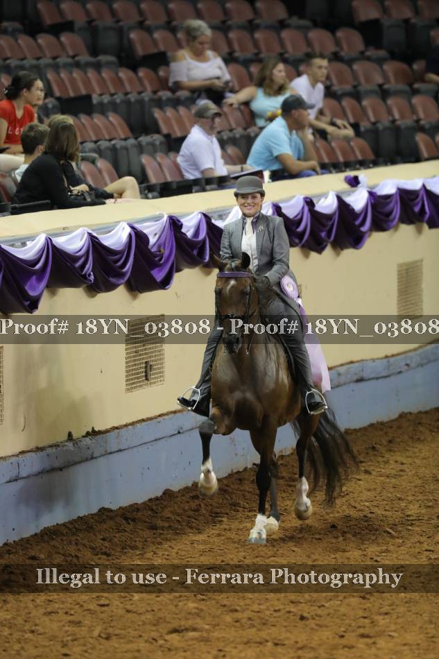 Proof 18YN_03808
