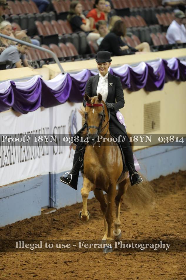Proof 18YN_03814