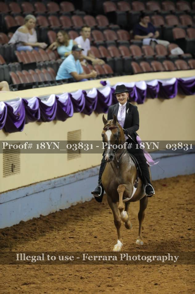 Proof 18YN_03831