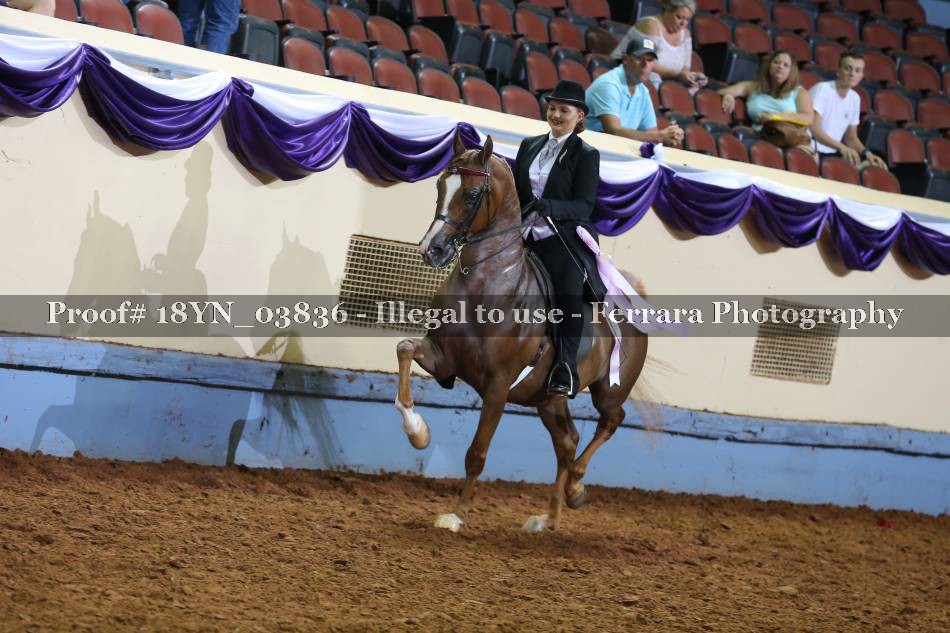 Proof 18YN_03836