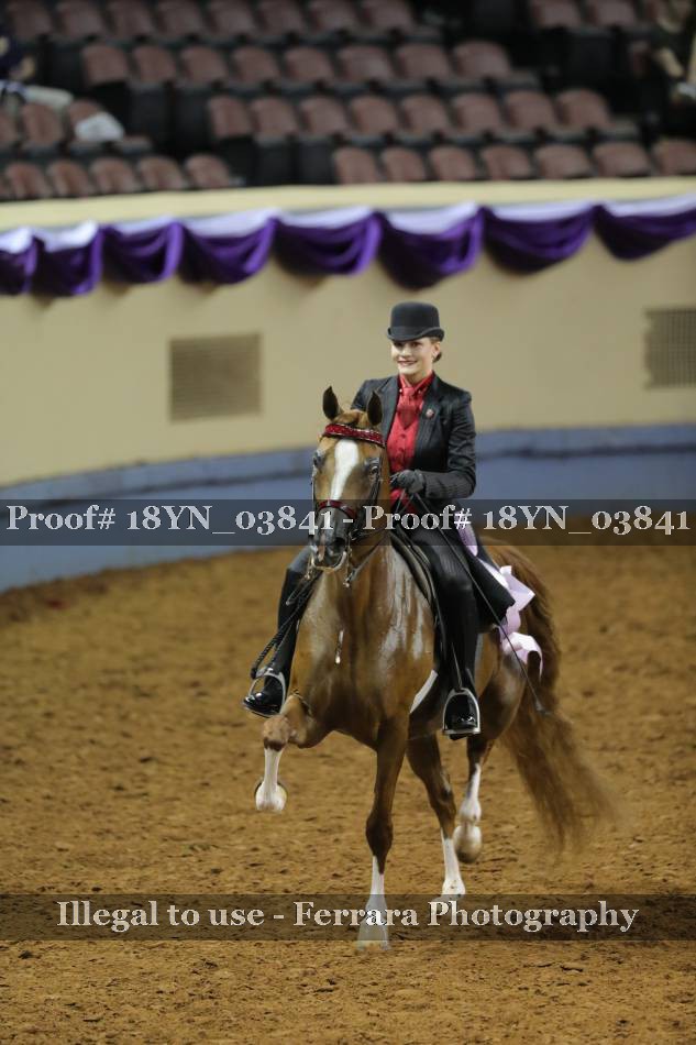 Proof 18YN_03841