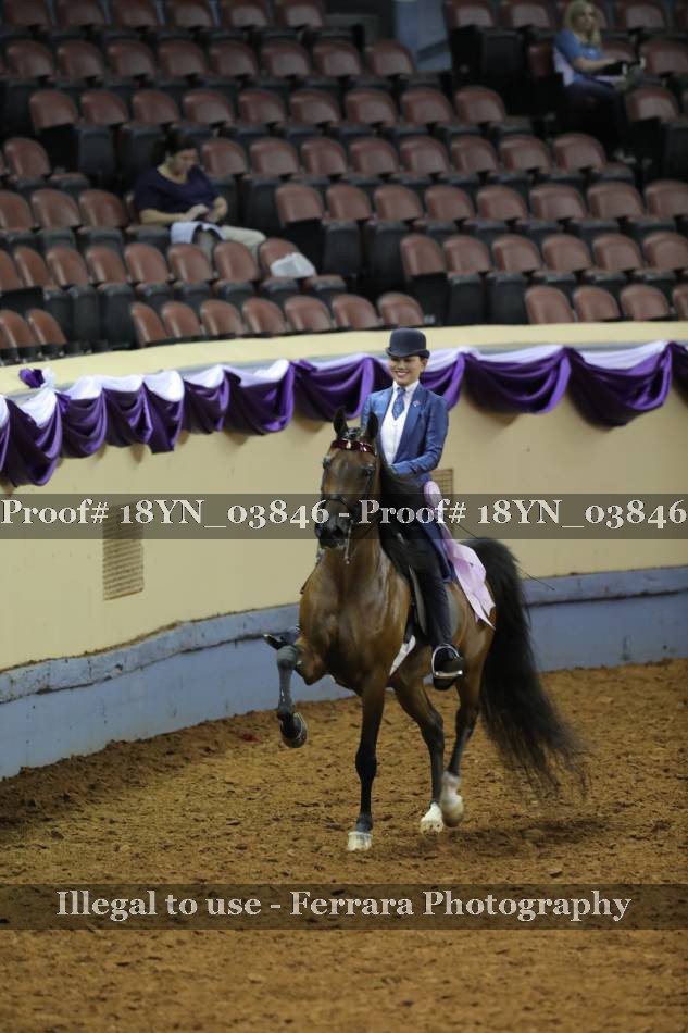 Proof 18YN_03846