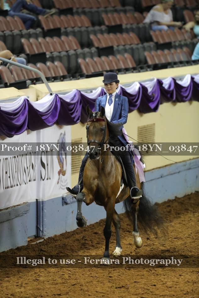 Proof 18YN_03847
