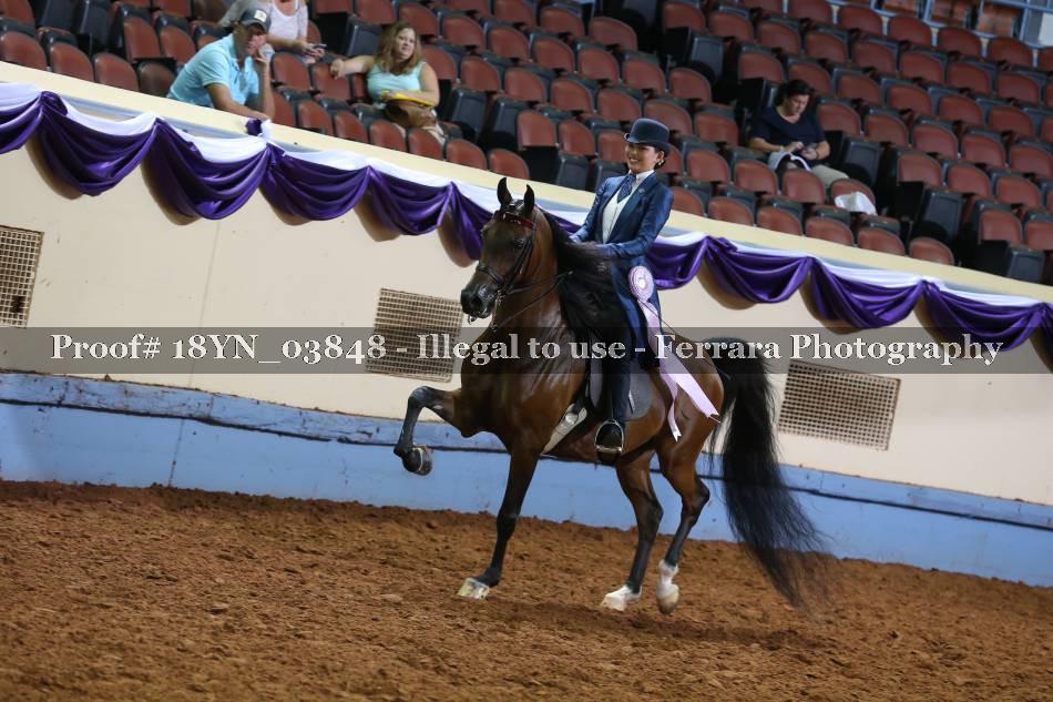 Proof 18YN_03848
