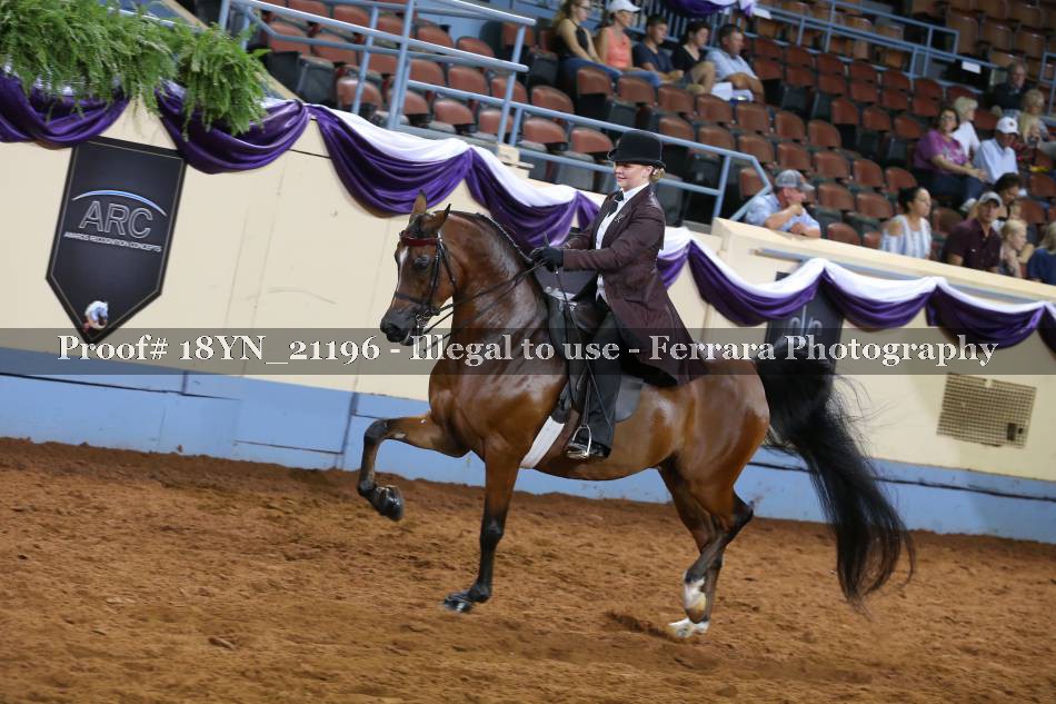 Proof 18YN_21196