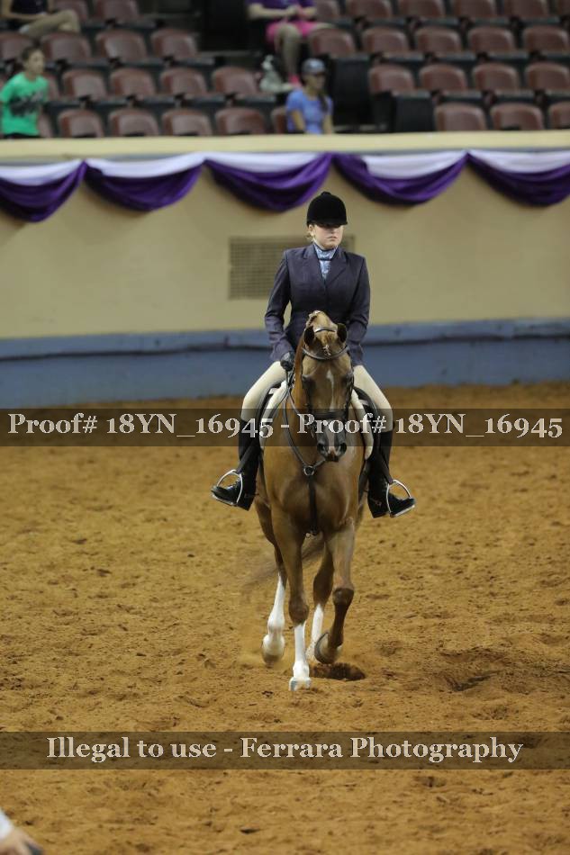 Proof 18YN_16945