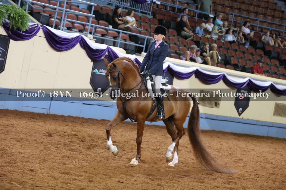 Proof 18YN_16951