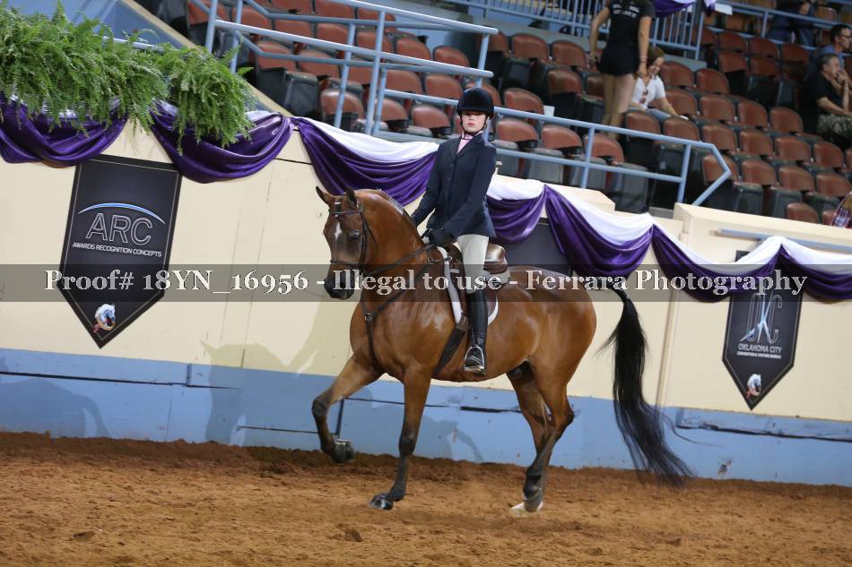 Proof 18YN_16956