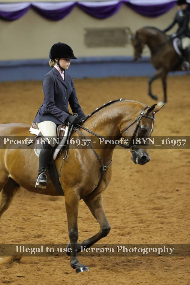Proof 18YN_16957