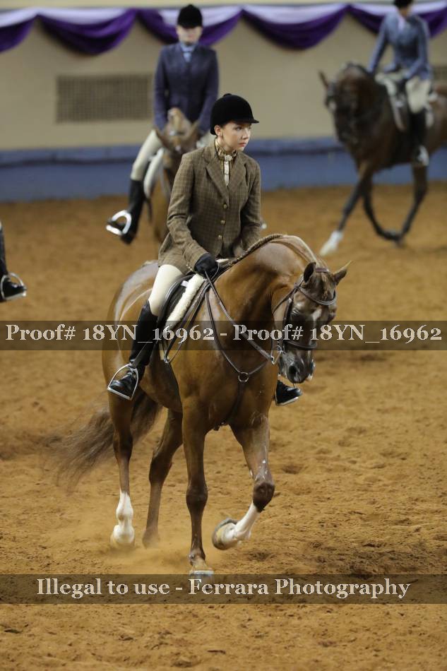 Proof 18YN_16962