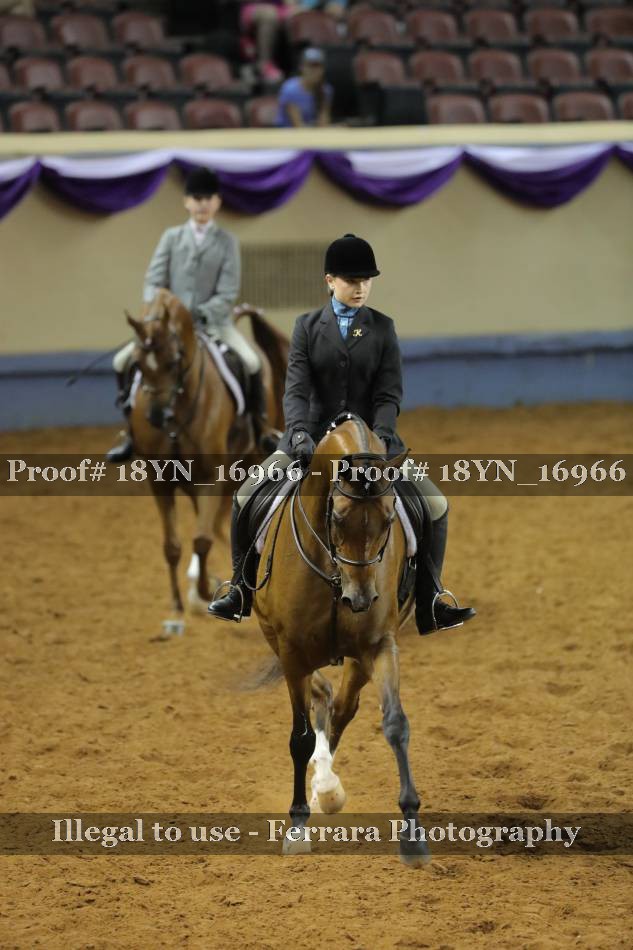 Proof 18YN_16966