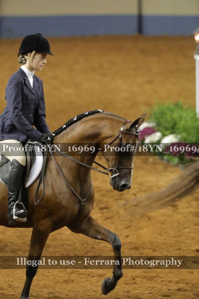 Proof 18YN_16969