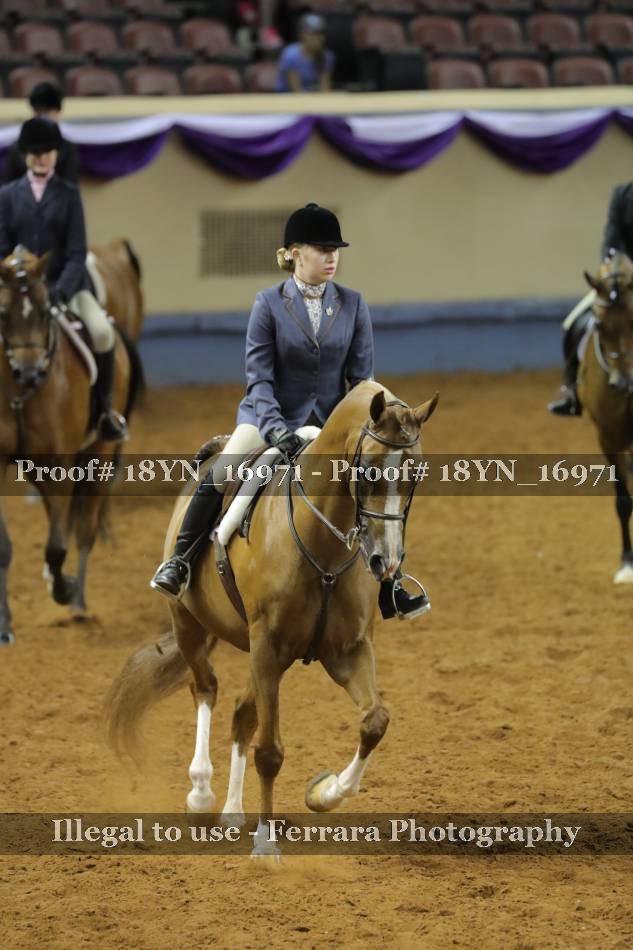 Proof 18YN_16971