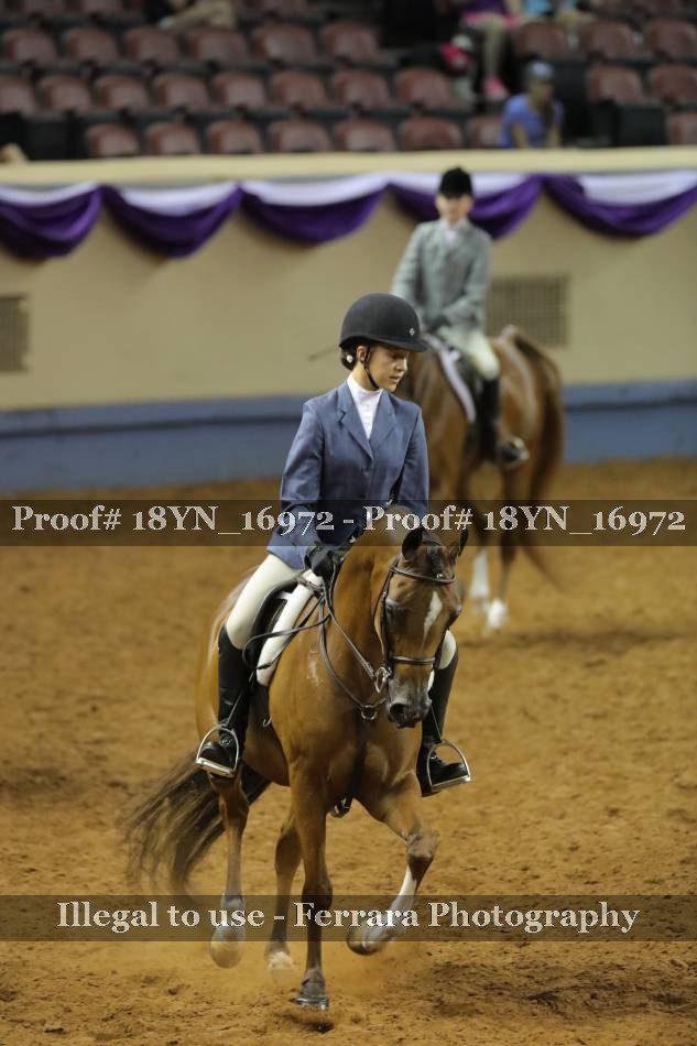 Proof 18YN_16972