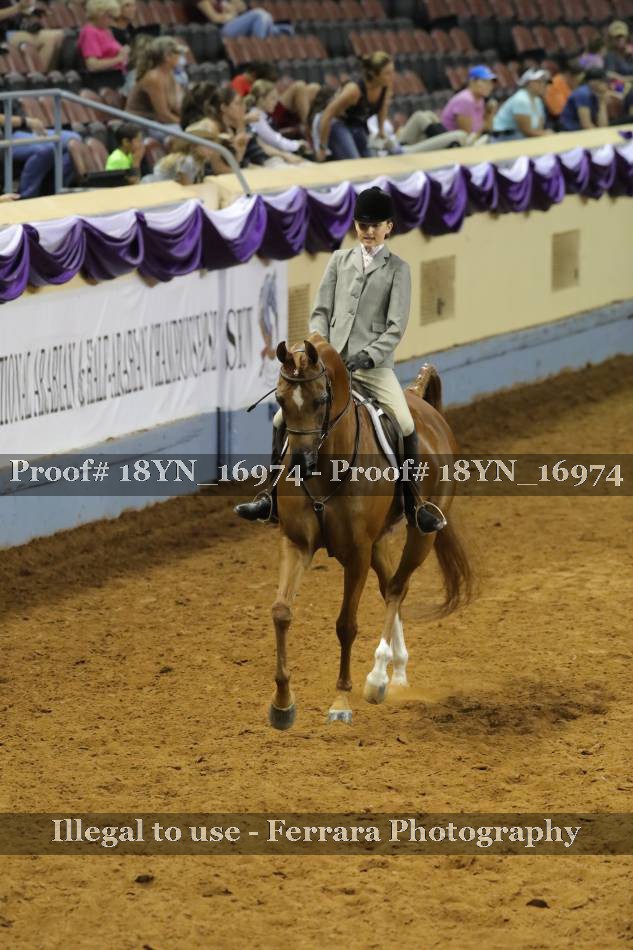 Proof 18YN_16974