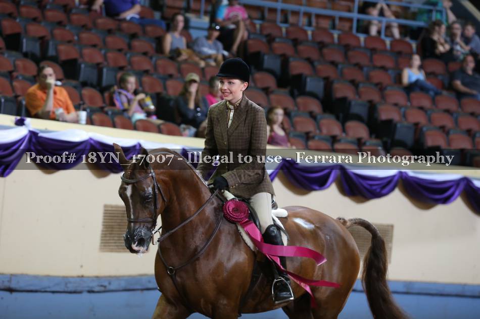 Proof 18YN_17007