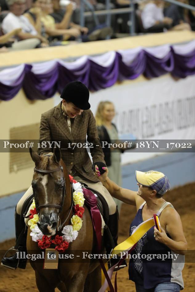 Proof 18YN_17022