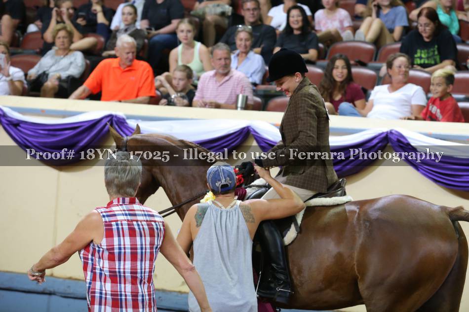 Proof 18YN_17025
