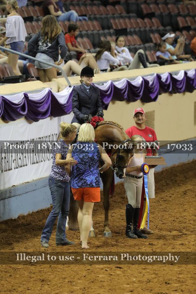 Proof 18YN_17033