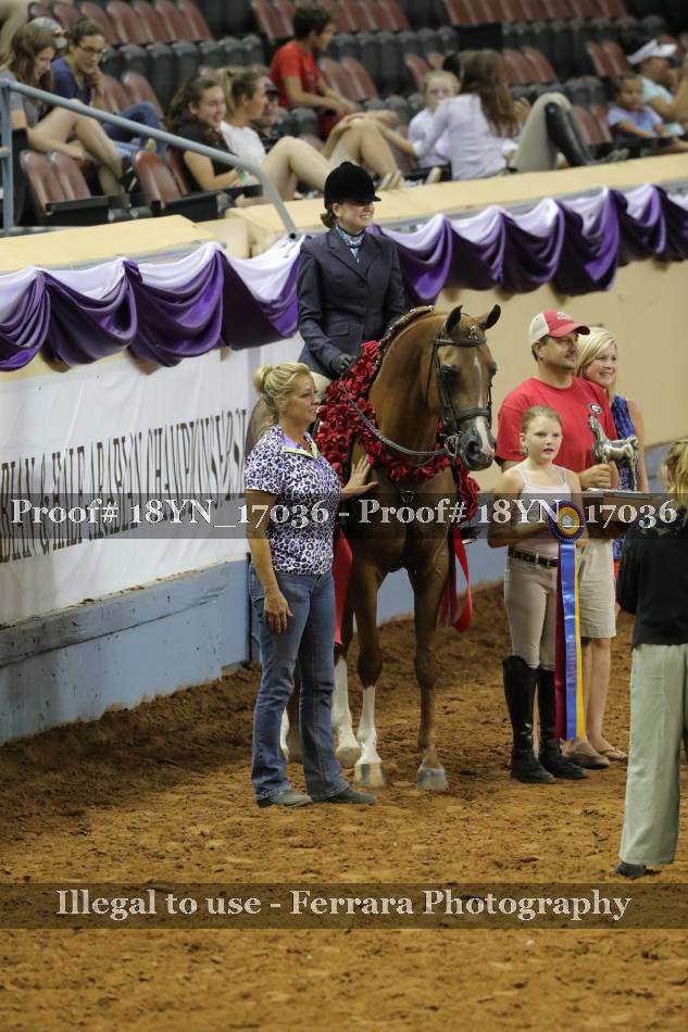 Proof 18YN_17036