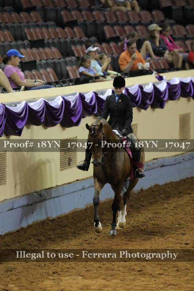 Proof 18YN_17047